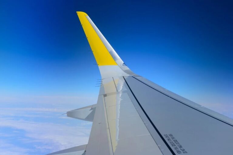 Зачем самолету крылья, если он ими не машет?