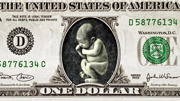 Экономика — это сама жизнь во всём её многообразии?